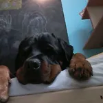 Osada Nad Potokiem Casa de Férias
