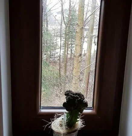 Osada Nad Potokiem