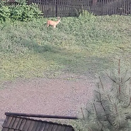 Ferienhaus Osada Nad Potokiem