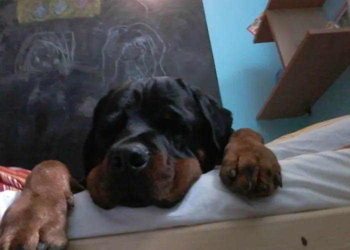 Osada Nad Potokiem Дом отдыха