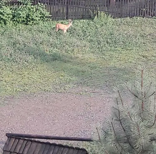 Дом отдыха Osada Nad Potokiem